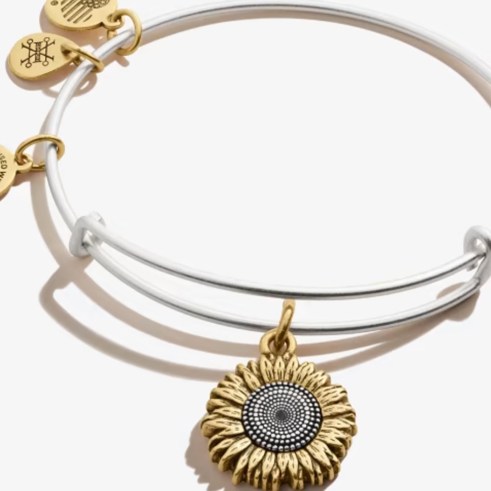 Alex and Ani Bracelet